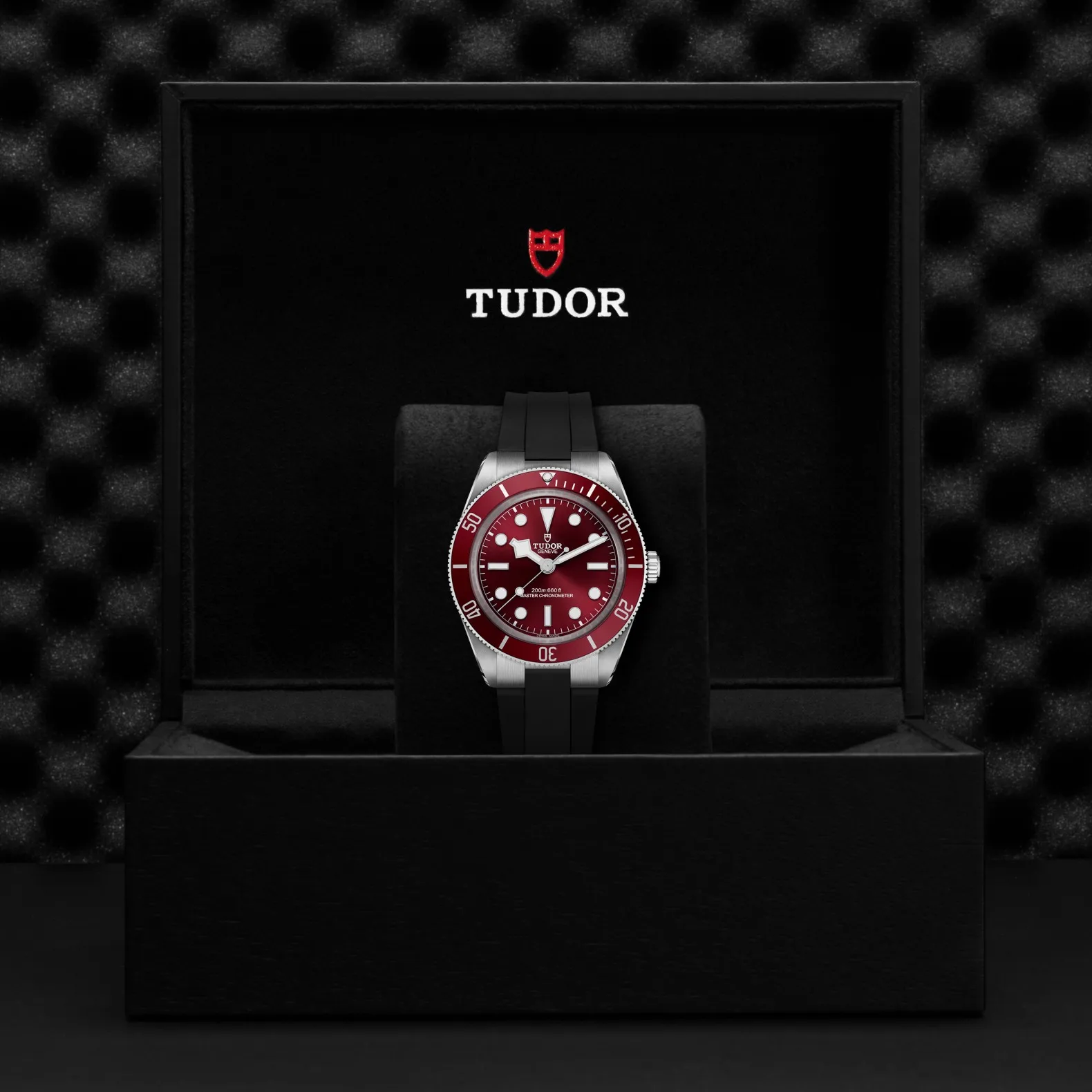 Tudor